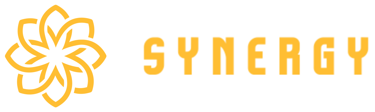 PT Synergy Network Indonesia